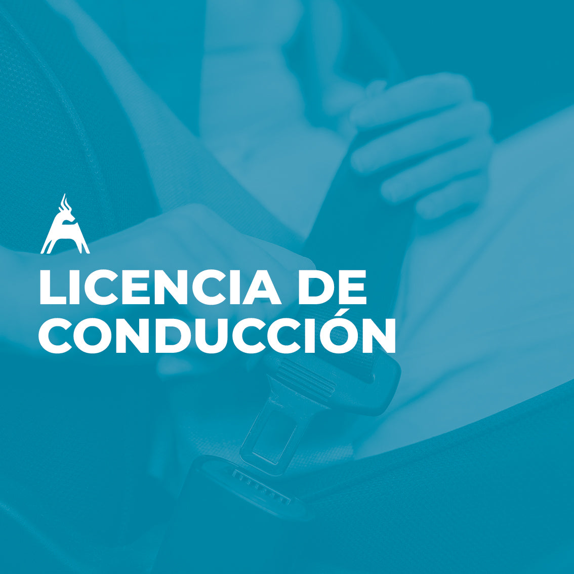 Licencia de conducción