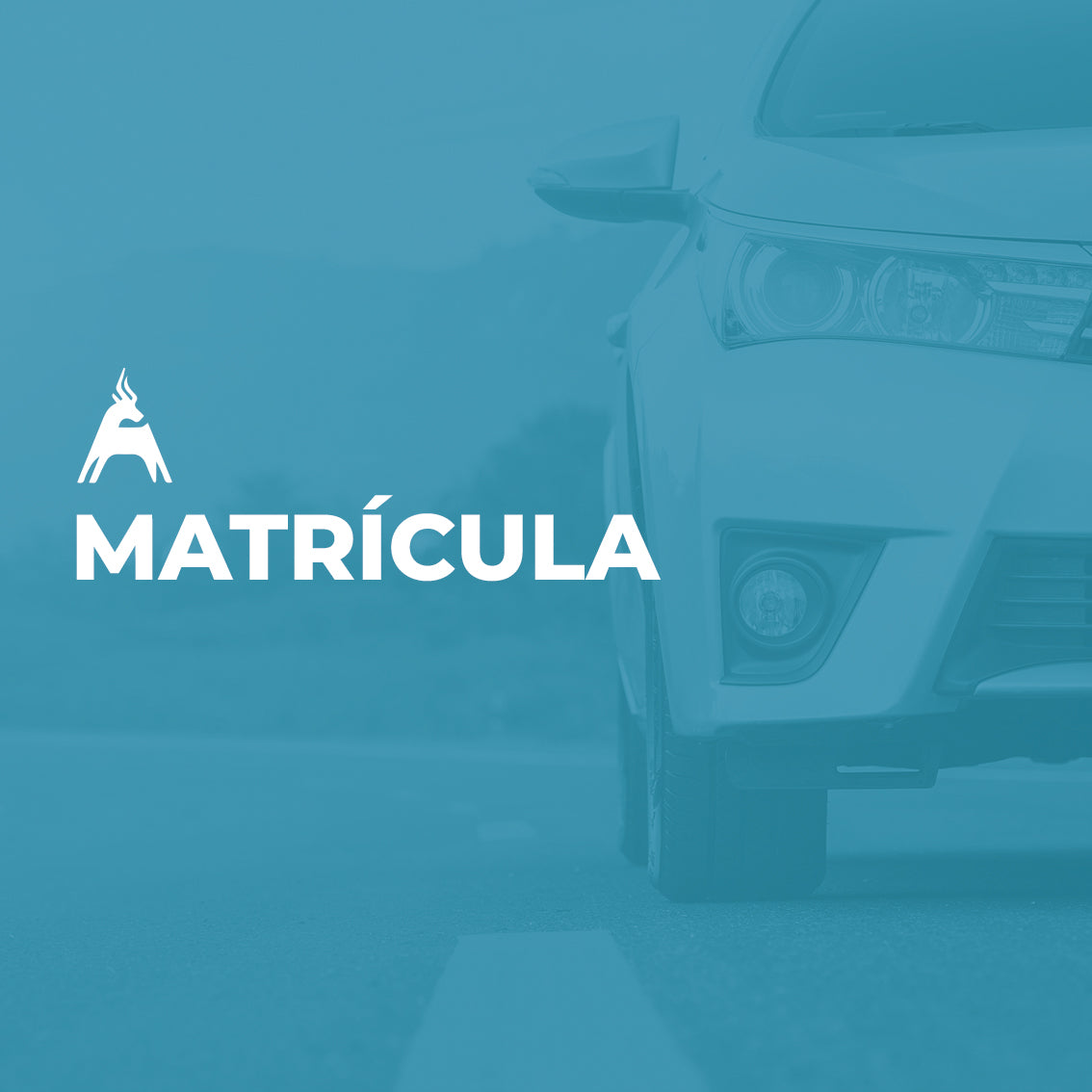 Matrícula