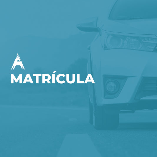 Matrícula